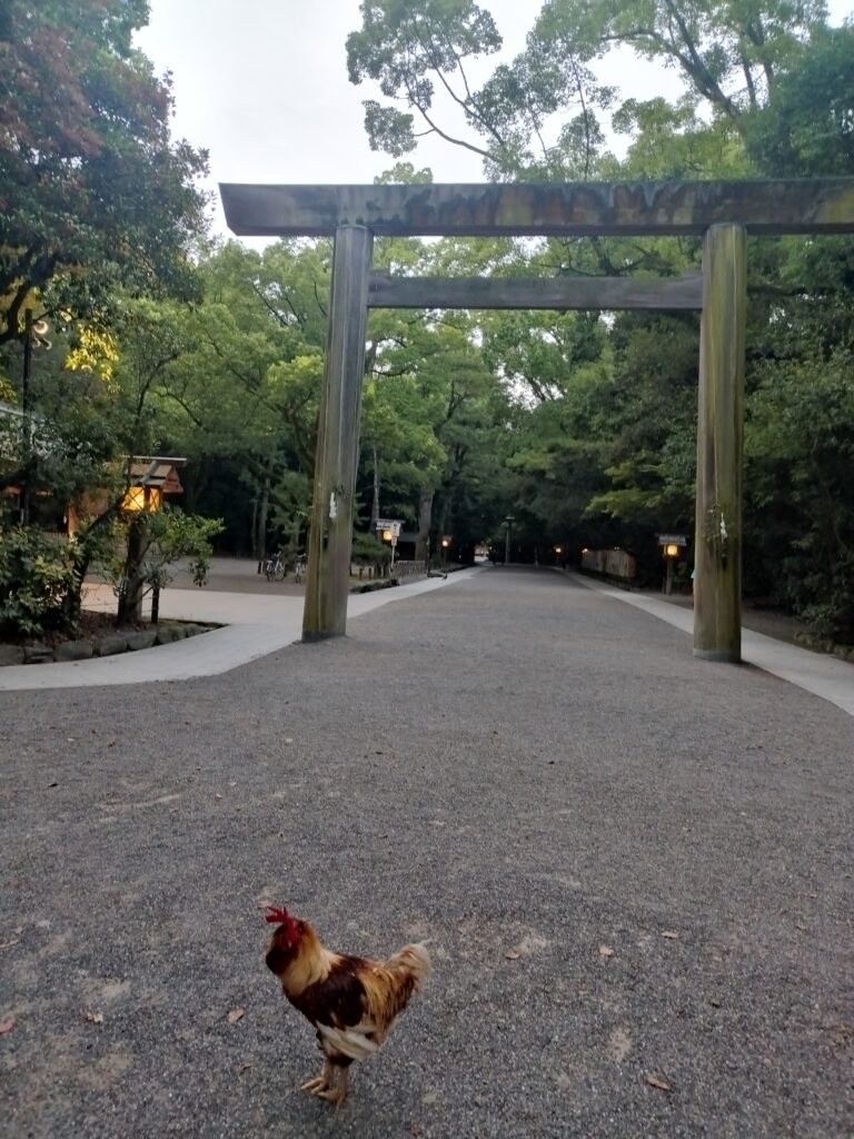 手水舎近くの鳥居
