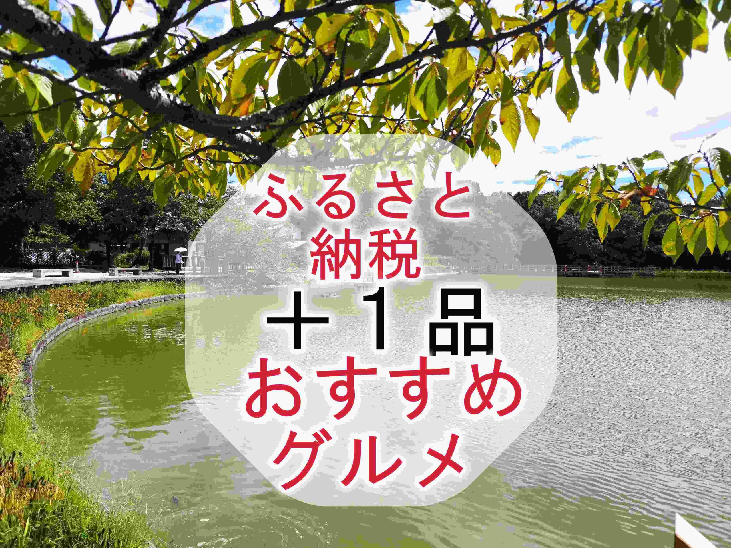 ふるさと納税】納税額15,000円以下の返礼品でもらえるおすすめグルメ12選と納税額1,000円ちょうどでもらえるおすすめ返礼品5選 |  のんびりグルメ日記